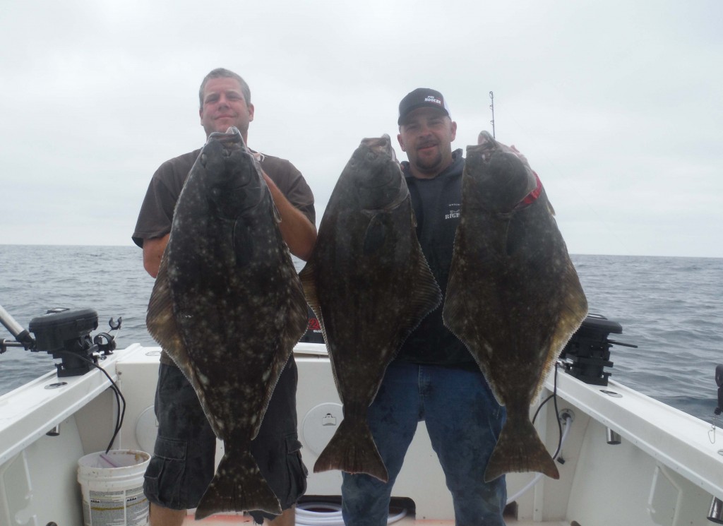 Pacific Halibut Eureka Coastline Charters